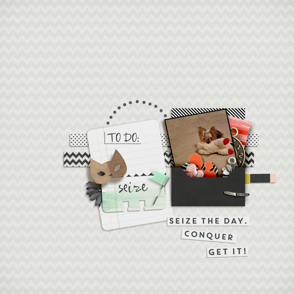 Seize The Day