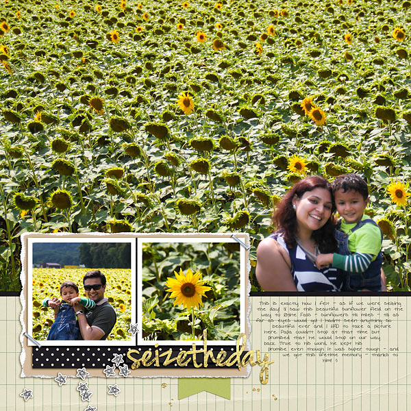 Seize-the-day_sunflower-field