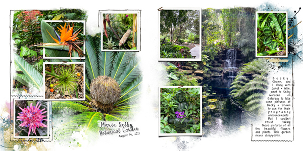 Selby Gardens in August