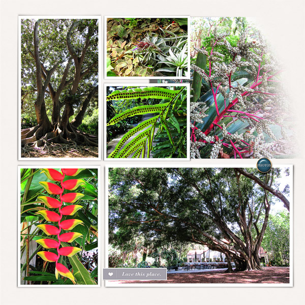 Selby Gardens,left side