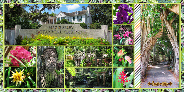 Selby Gardens2