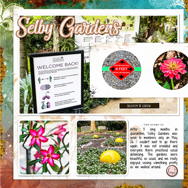 Selby Gardens_left