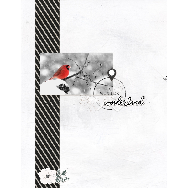 Selective Coloring