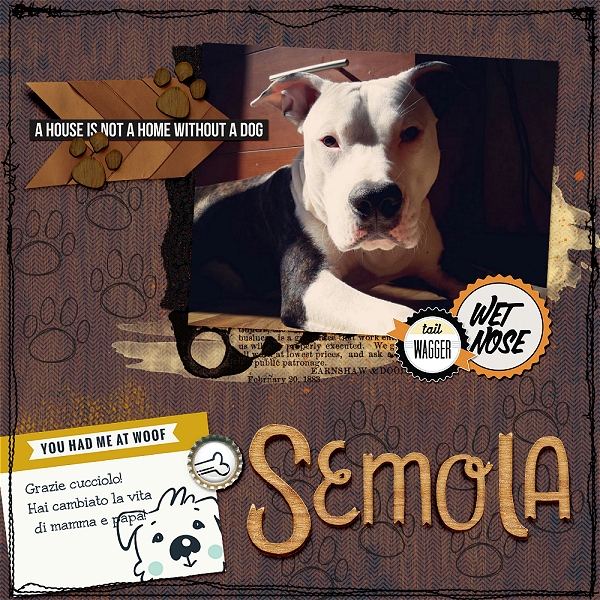 Semola