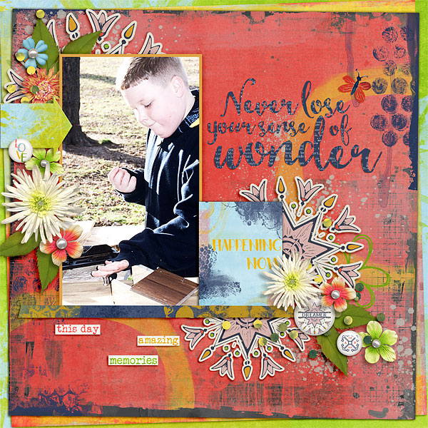Sense of Wonder