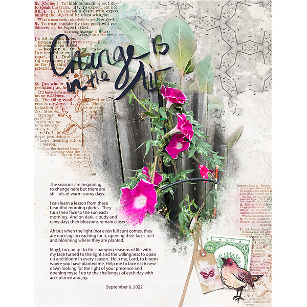 Sep2022_PhotographyChall_Change_flowersgal_square_web