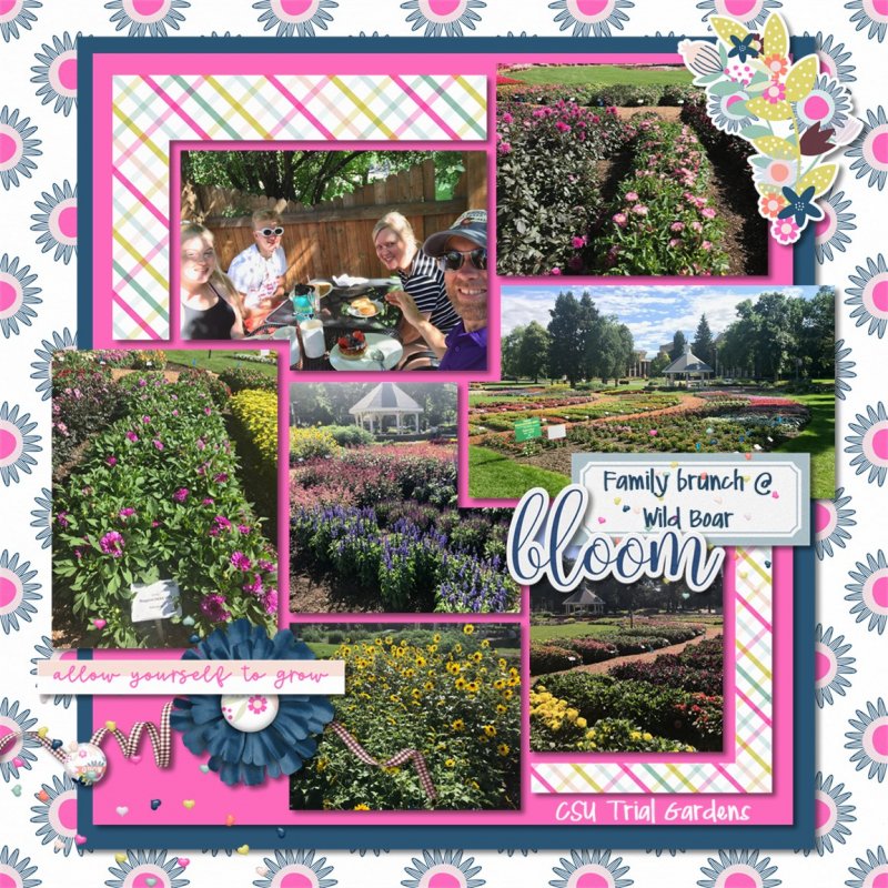 Sept 2019 MIS Template, Bloom And Grow Lilypad Blog Hop Kit