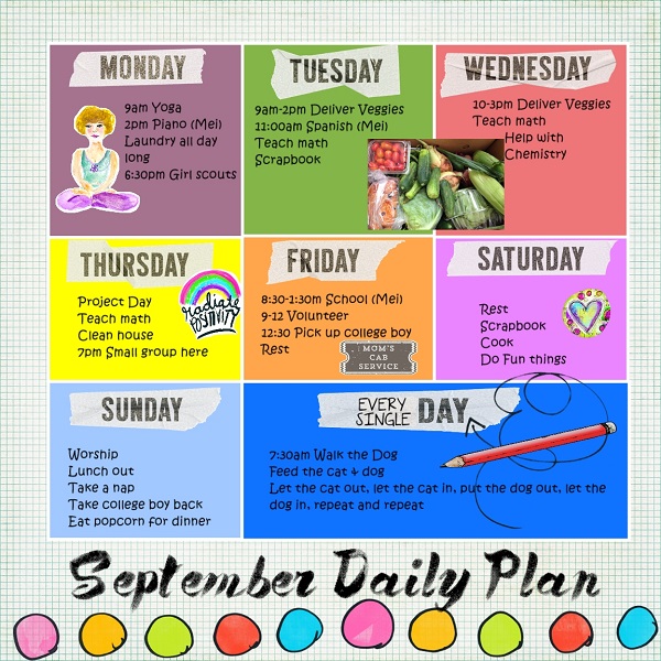 Sept Plan