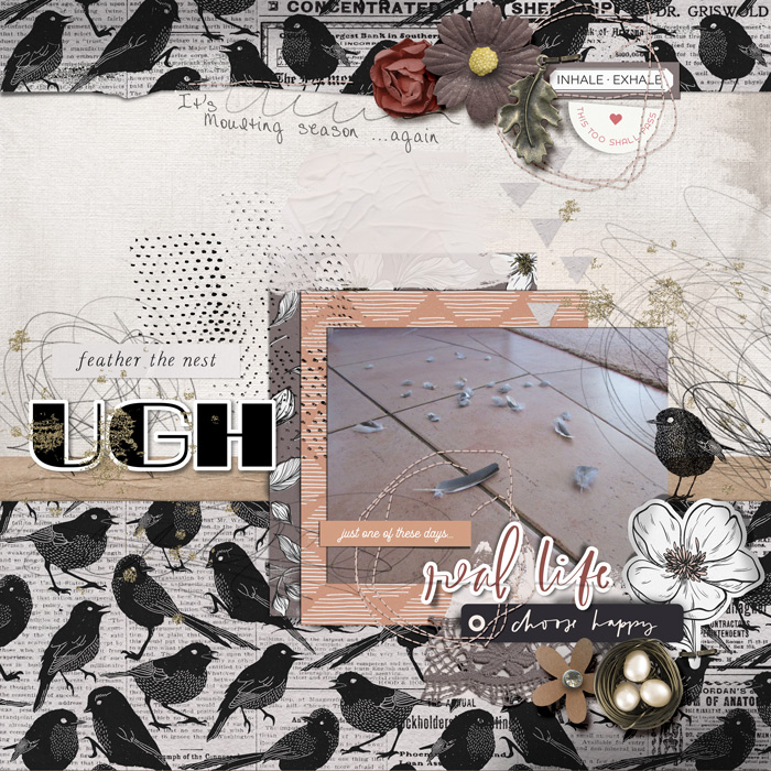 Sept scraplift chall - bird mum life