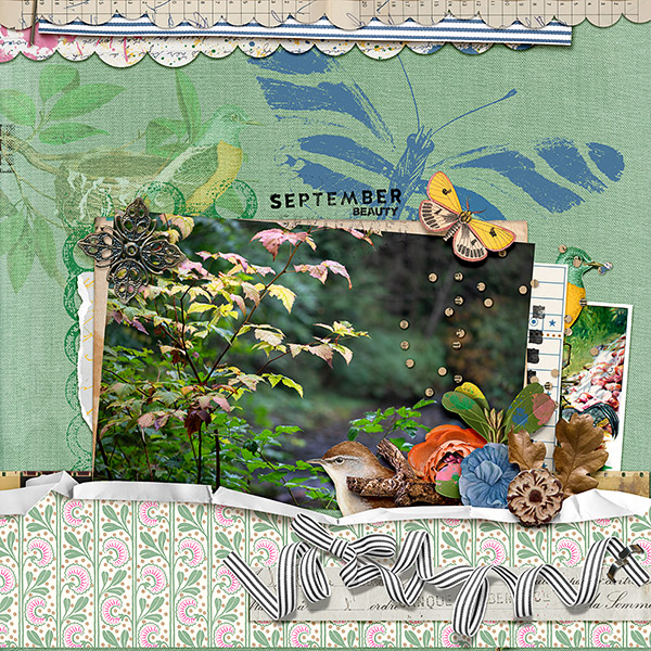 September Beauty