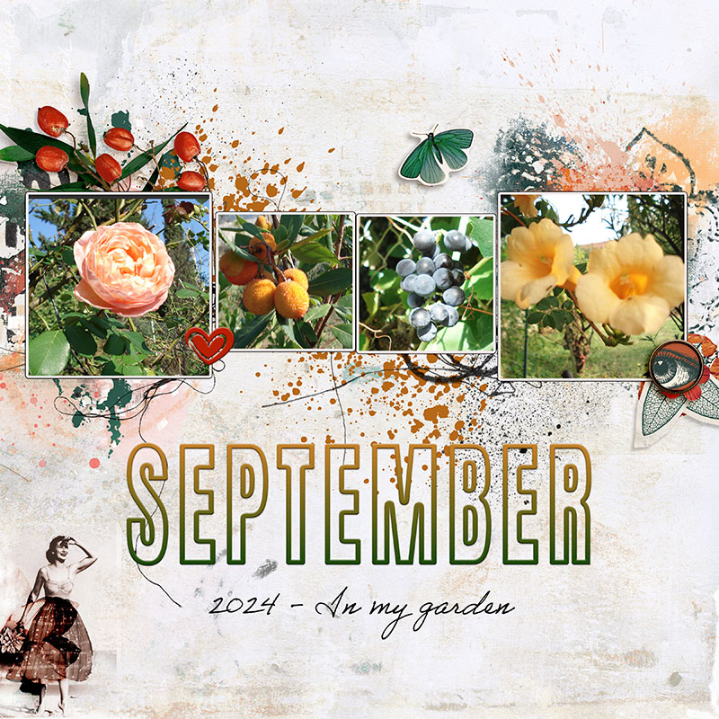 September in my garden