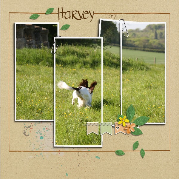 September Scraplift Challenge
