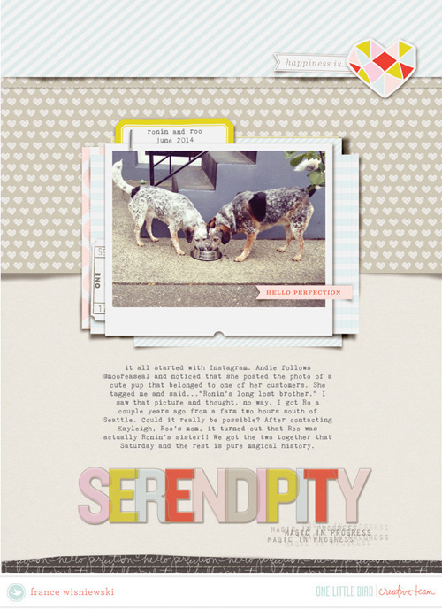 serendipity