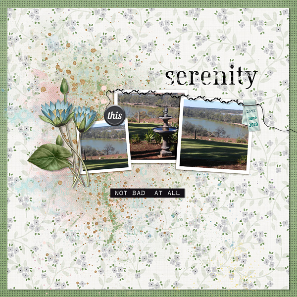 Serenity Now