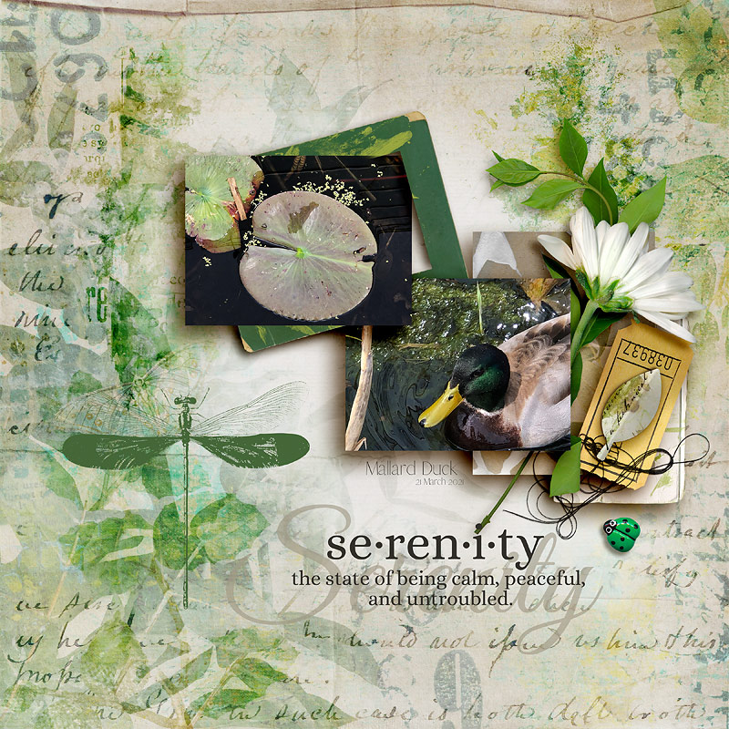 Serenity