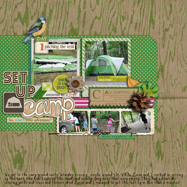Set Up Camp