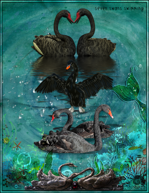 SEVEN SWANS SWIMMING