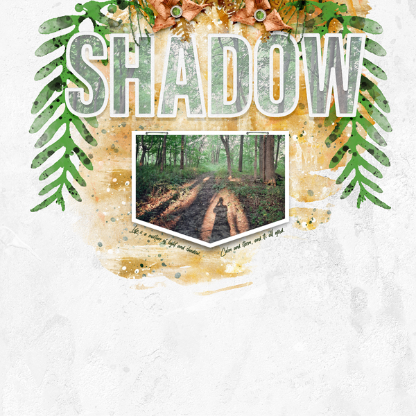 Shadow
