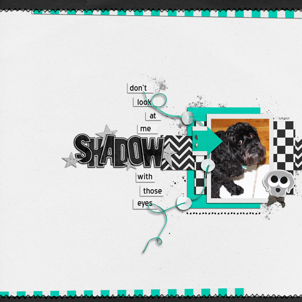 Shadow