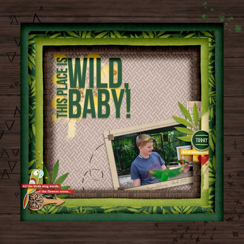 Shadowbox Challenge