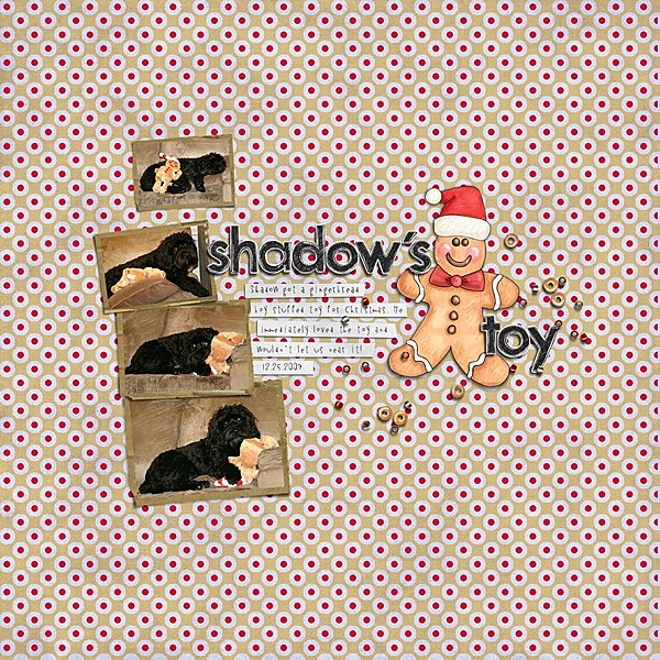 Shadow's Toy