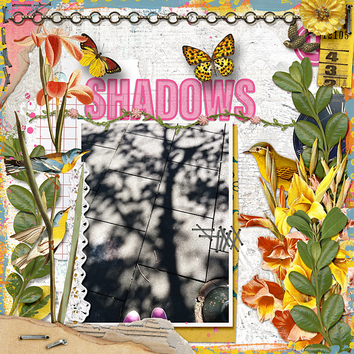 Shadows