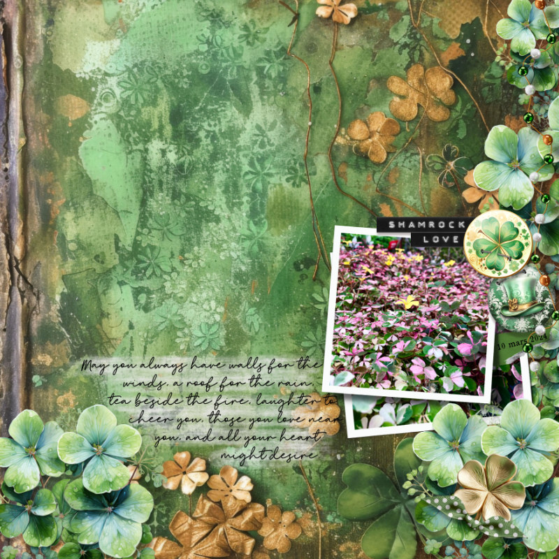 Shamrock love