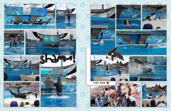 shamu
