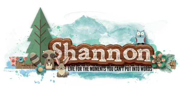 Shannonsiggy
