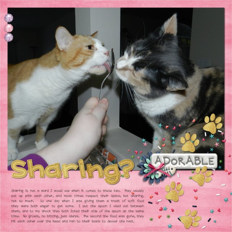 Sharing?