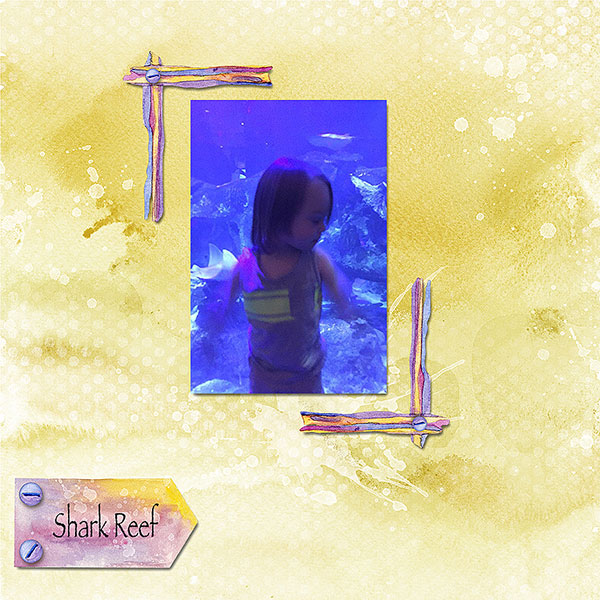 Shark-ReefW