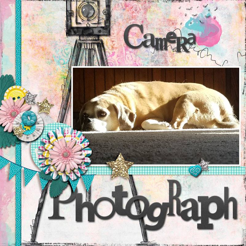 Sharpie_May_2018_Photography_Challenge (2)