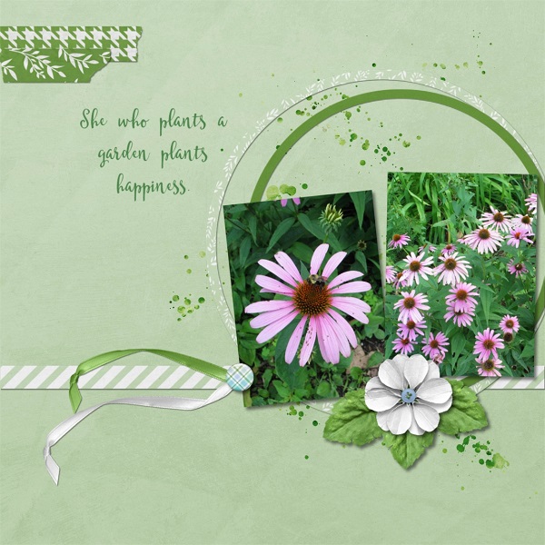 She Who Plants A Garden
