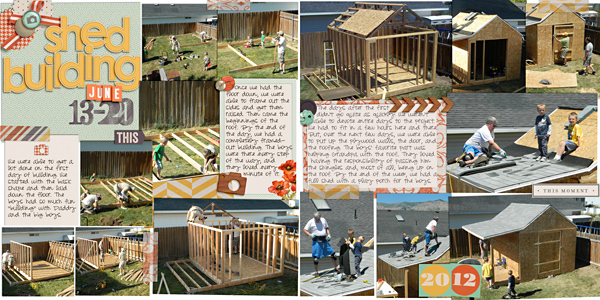 Shed Building