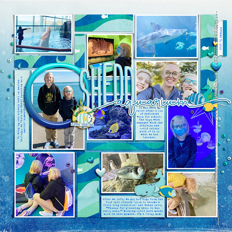 Shedd Aquarium