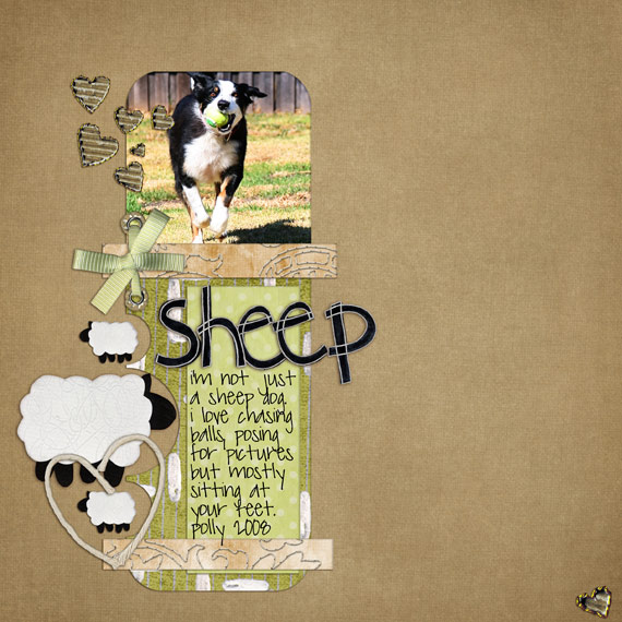 Sheep Dog