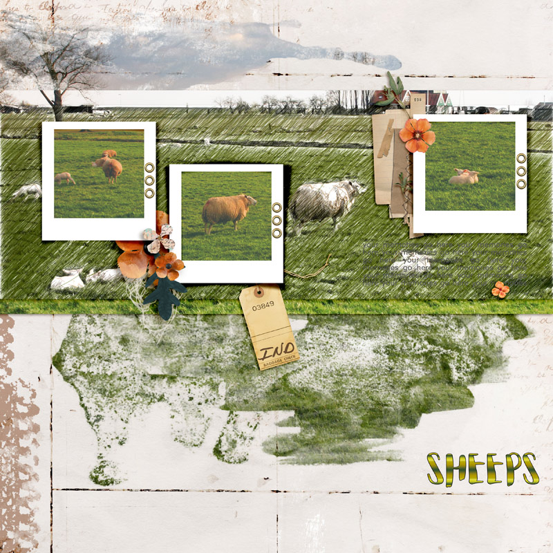Sheeps