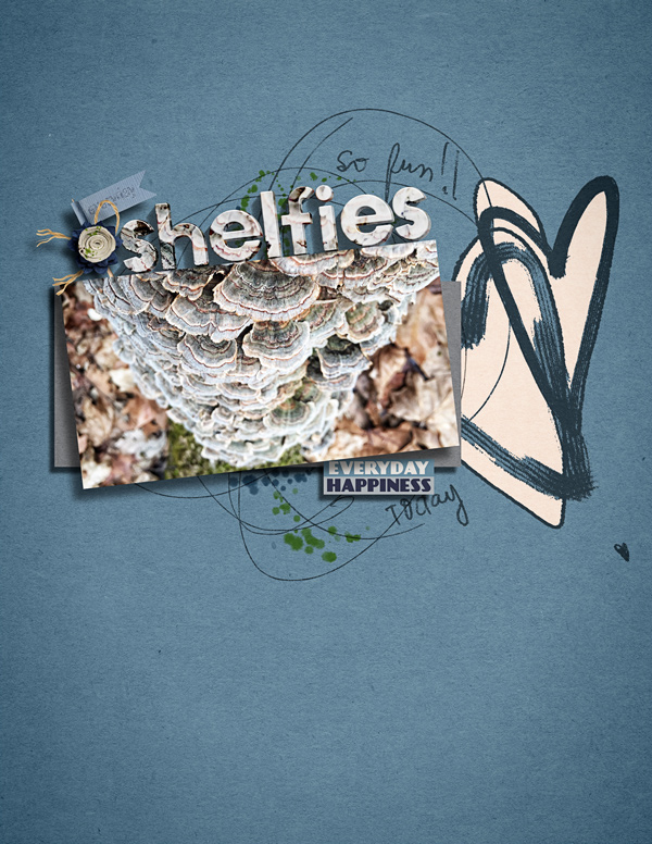 Shelfies MOC 12