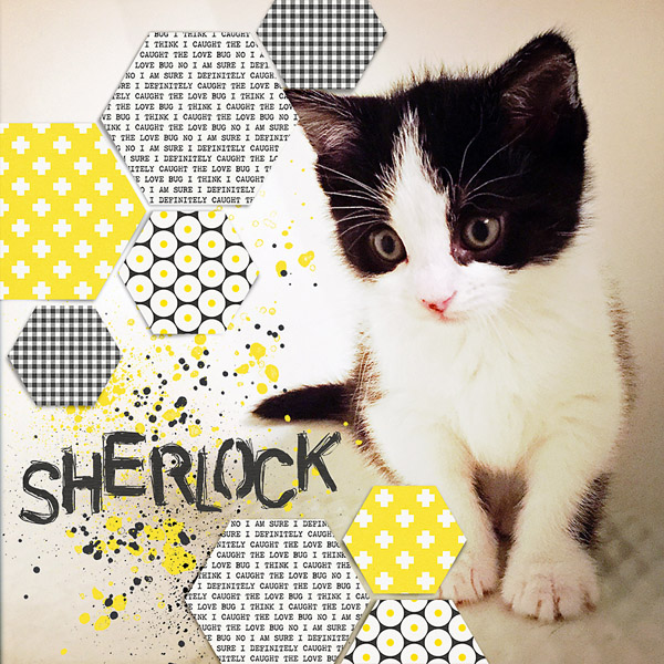 sherlock