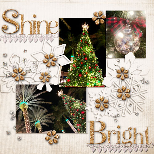 Shine Bright