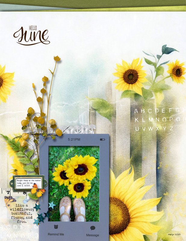 Shine-Like-a-Sunflower