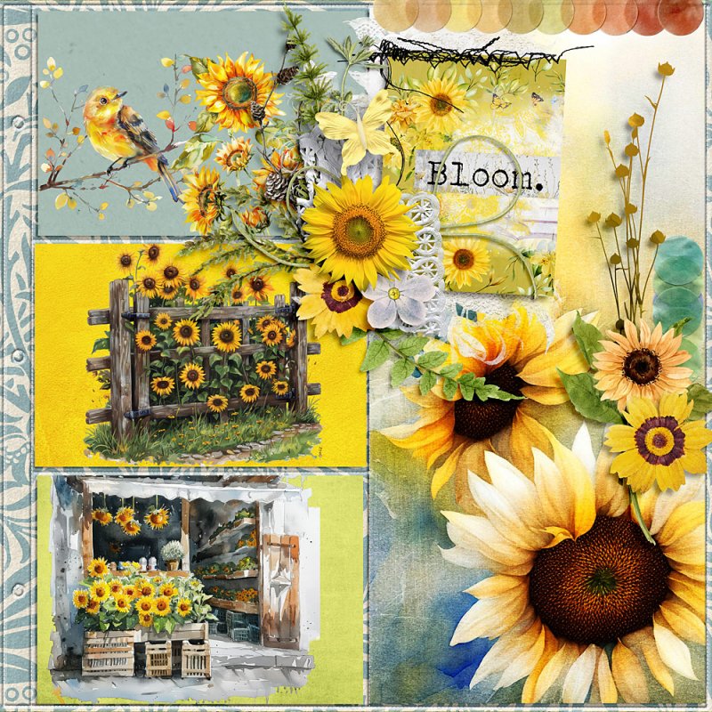 Shine Lilke A Sunflower