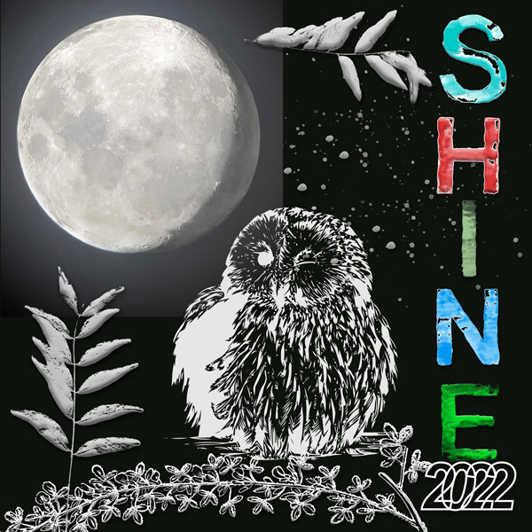 SHINE
