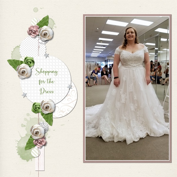 Shopping For The Dress