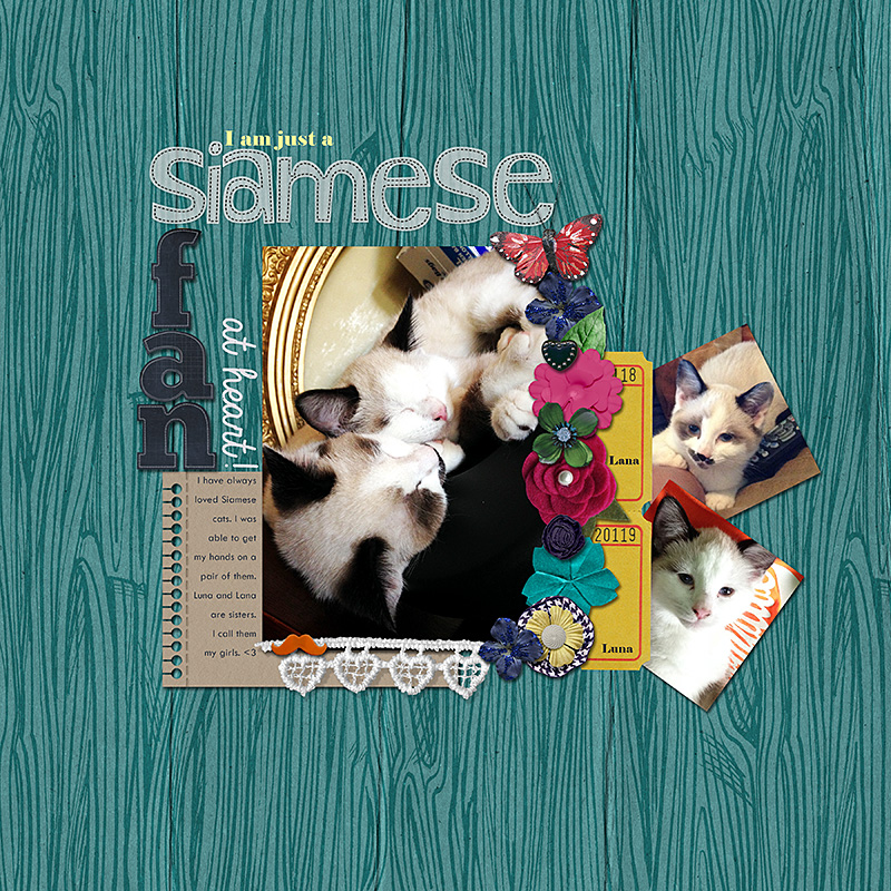 Siamese Fan - MOC #17