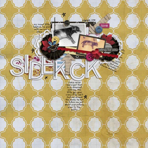 Sidekick
