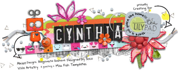 Signature Challenge iNSD 17