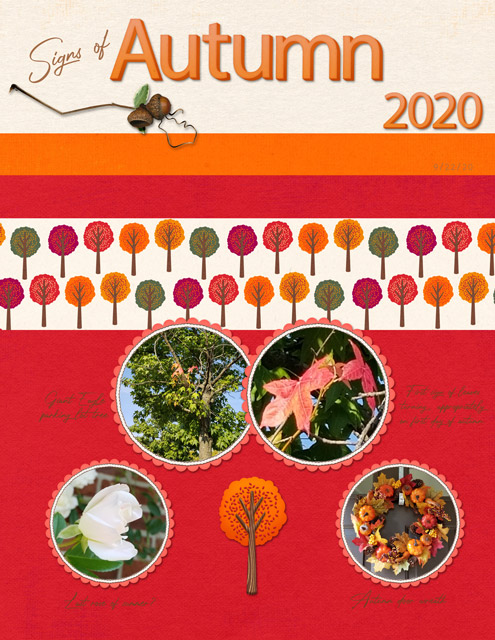 Signs-of-Autumn-2020