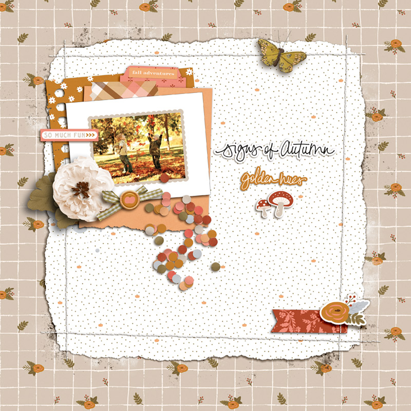 Signs Of Autumn