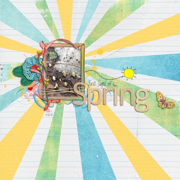 Signs of Spring
